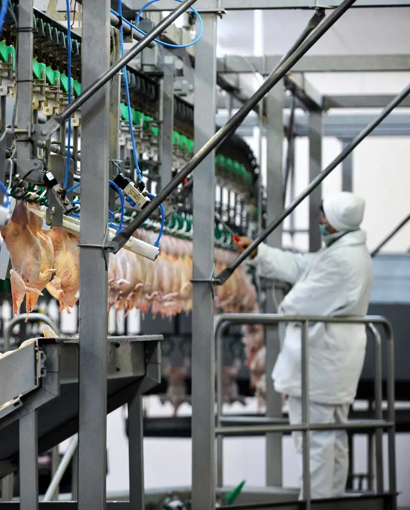 A Trilogy Foods employee working the processing line